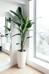 bedroom refresh ideas