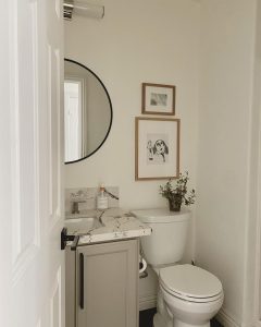 toilet decor