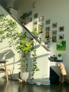 staircase wall decor