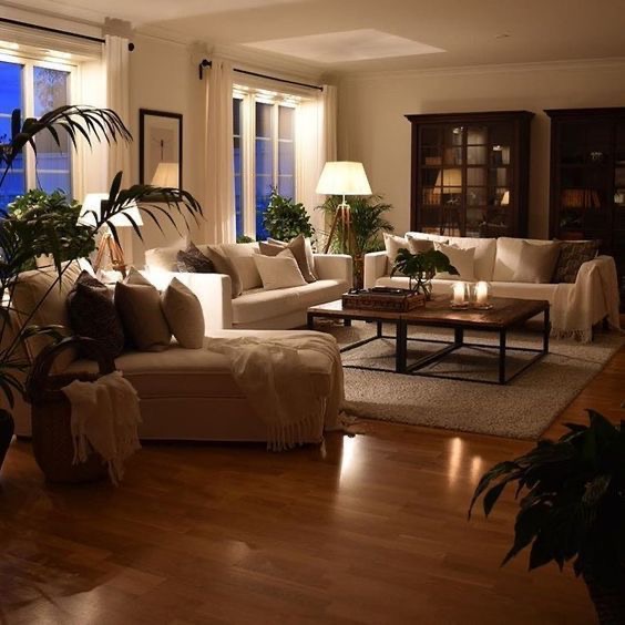 cozy living room design